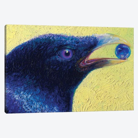 Ritual In Pairing Black Bird Canvas Print #IRS284} by Iris Scott Canvas Print
