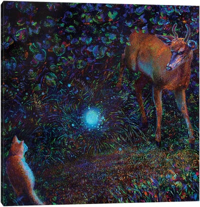 The Visitor Canvas Art Print - Deer Art