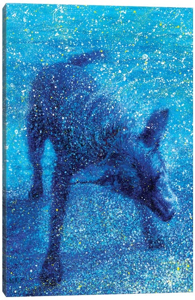 Zippy Canvas Art Print - Iris Scott - Shakin' Dogs