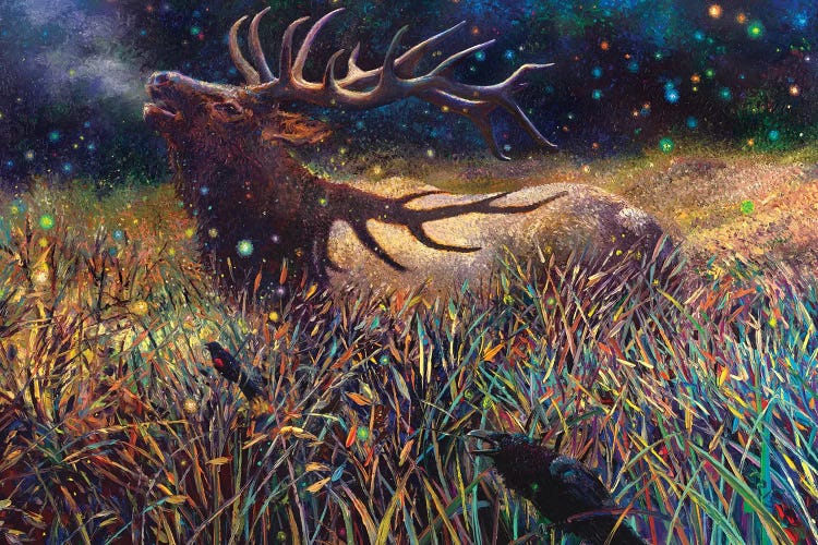 Wapiti by Iris Scott wall art