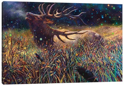 Wapiti Canvas Art Print - Wildlife Art