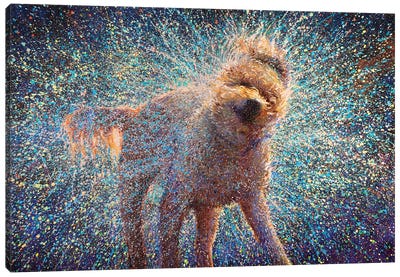 Canis Rufus Canvas Art Print - Goldendoodle Art