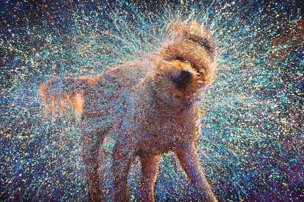 Labradoodles: Canis Rufus by Iris Scott