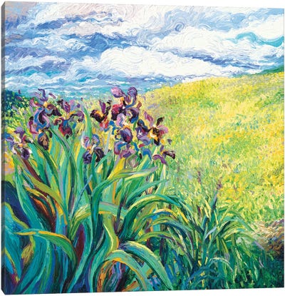 Foxy Triptych Panel I Canvas Art Print - Wildflowers