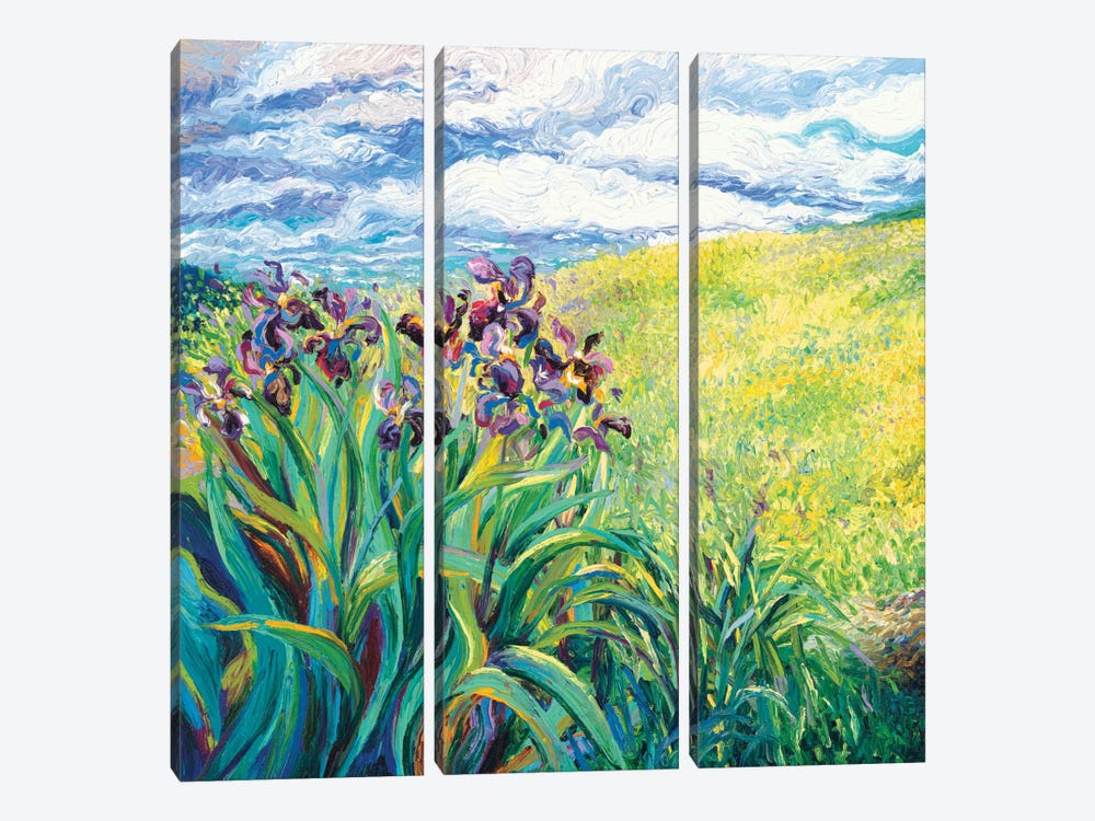 Foxy Triptych Panel I by Iris Scott 3-piece Canvas Art Print
