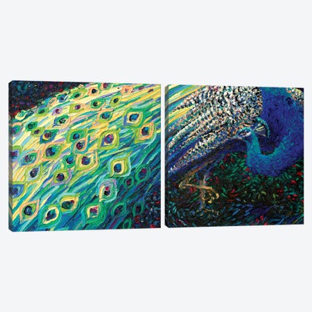 Black Peacock Diptych Canvas Print Set #IRS2HSET010} by Iris Scott Canvas Artwork