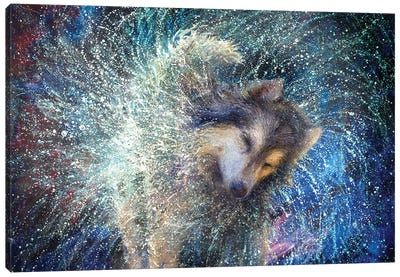 Luna The Sidereal Canvas Art Print - Iris Scott - Shakin' Dogs