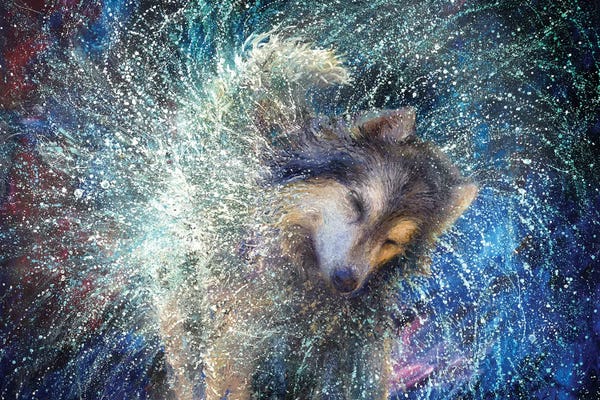 Current Day Impressionism: Luna The Sidereal by Iris Scott