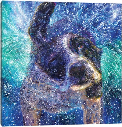 Spinning Spaniel Canvas Art Print - Iris Scott - Shakin' Dogs