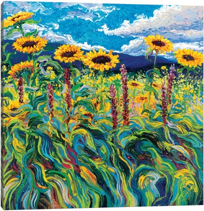 Foxy Triptych Panel III Canvas Art Print - Van Gogh's Sunflowers Collection