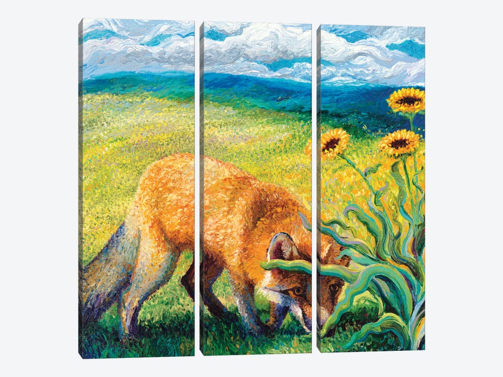 Foxy Triptych Panel II by Iris Scott 3-piece Canvas Wall Art