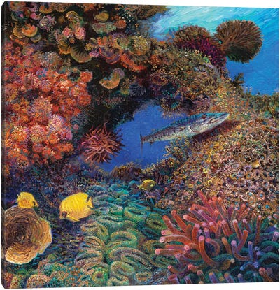 Barracuda Canvas Art Print - Underwater Art