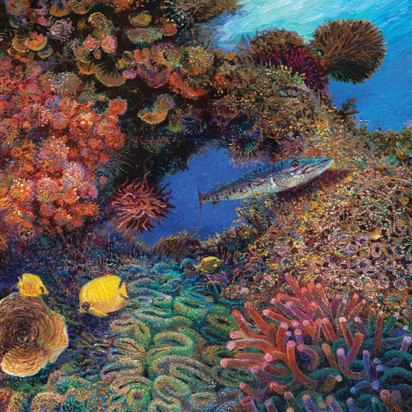 Animal Lover: Barracuda by Iris Scott