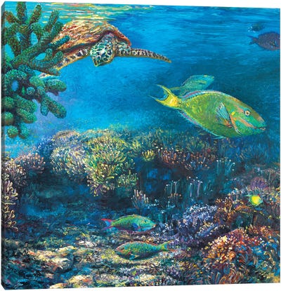 Blue Merlo Canvas Art Print - Underwater Art