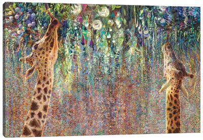 Canopy Cornucopia Canvas Art Print - Giraffe Art