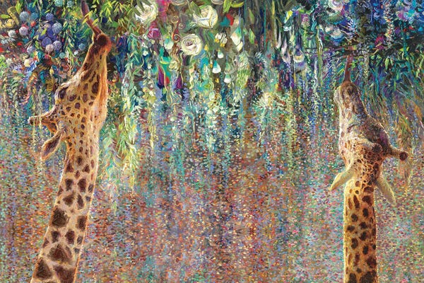 Canopy Cornucopia