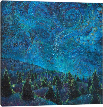 Cepheus Canvas Art Print - Night Sky Art