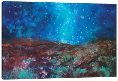 Coyote Nights Canvas Art Print - Night Sky Art