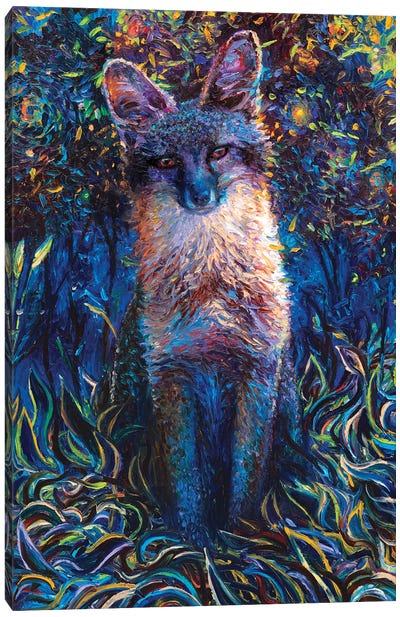 Equinox Canvas Art Print - Iris Scott