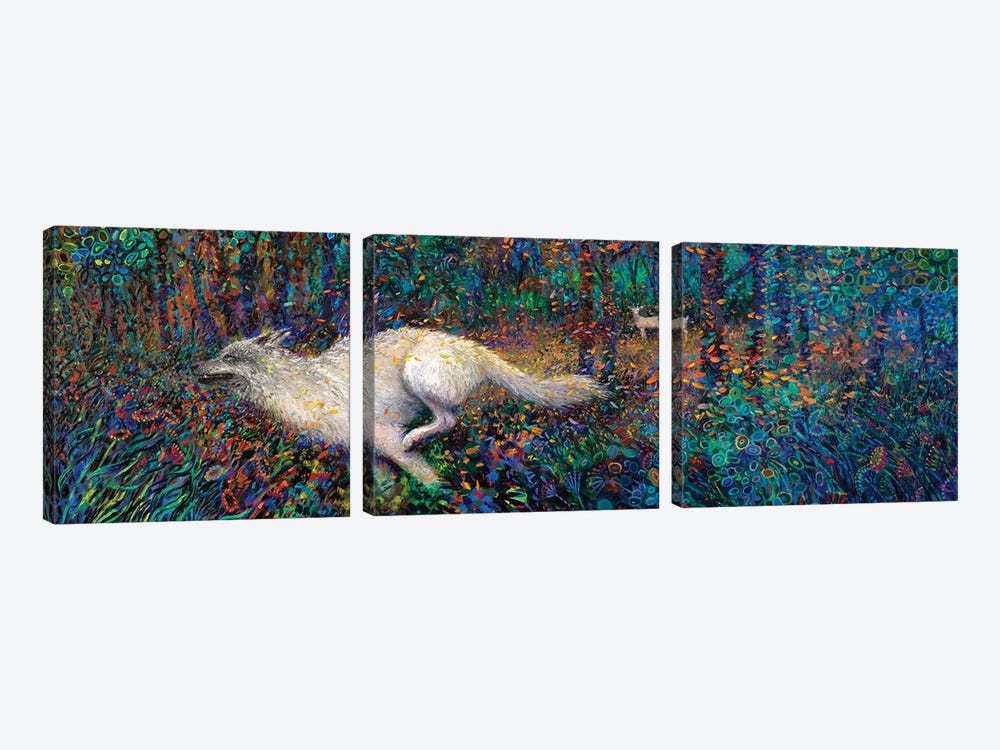 Follow The White Rabbit by Iris Scott 3-piece Canvas Wall Art
