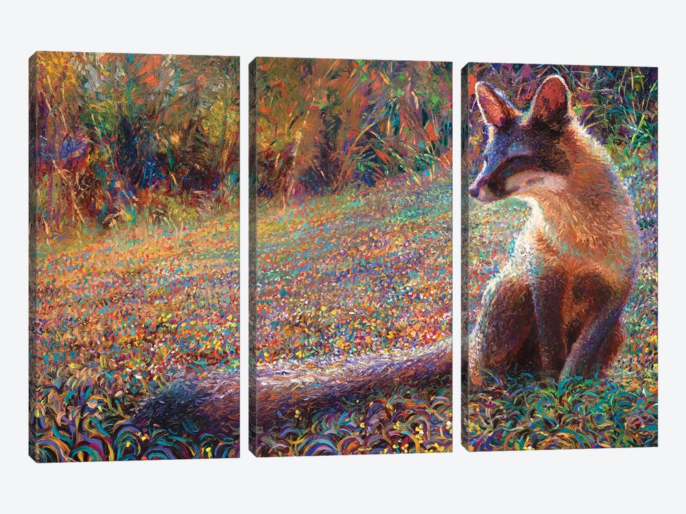 Fox Tail Thicket by Iris Scott 3-piece Art Print