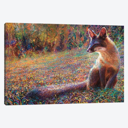 Fox Tail Thicket Canvas Print #IRS341} by Iris Scott Art Print