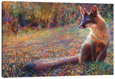 Fox Tail Thicket Canvas Art Print - Fox Art
