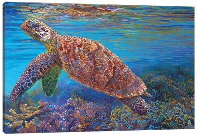 Hawksbill Canvas Art Print - Underwater Art