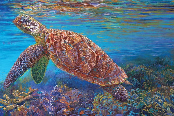 Reptiles & Amphibians: Hawksbill by Iris Scott