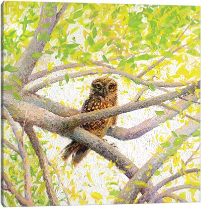 Indian Owl Spotted Canvas Art Print - Finger Painting Art