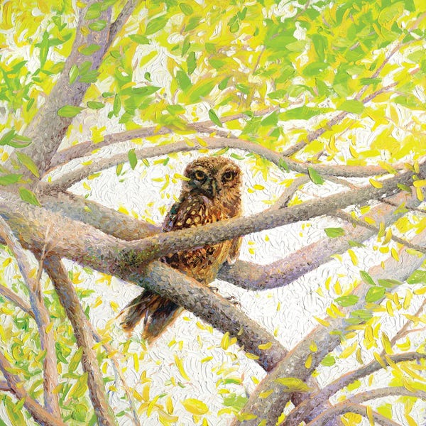 Finger Painting: Indian Owl Spotted by Iris Scott