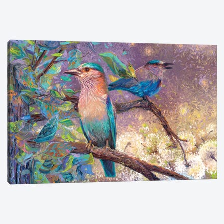 Indian Rollers Canvas Print #IRS347} by Iris Scott Canvas Wall Art