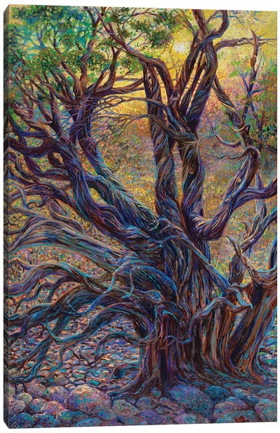 Juniper Loom Canvas Art Print - Southwest Décor
