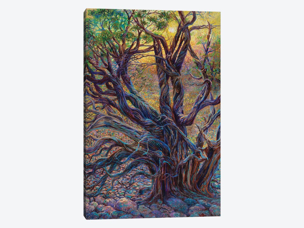 Juniper Loom by Iris Scott 1-piece Canvas Print