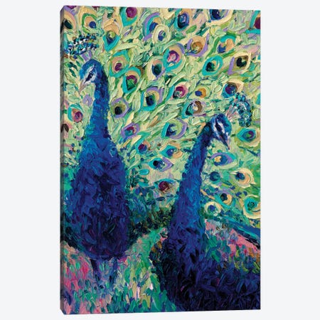 Gemini Peacock Canvas Print #IRS34} by Iris Scott Canvas Art Print