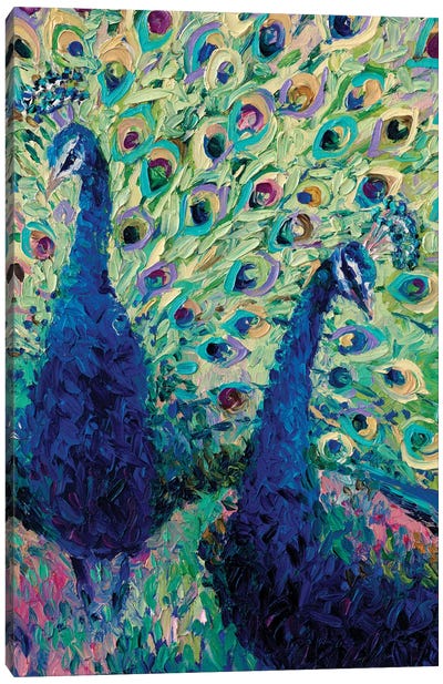 Gemini Peacock Canvas Art Print - Birds