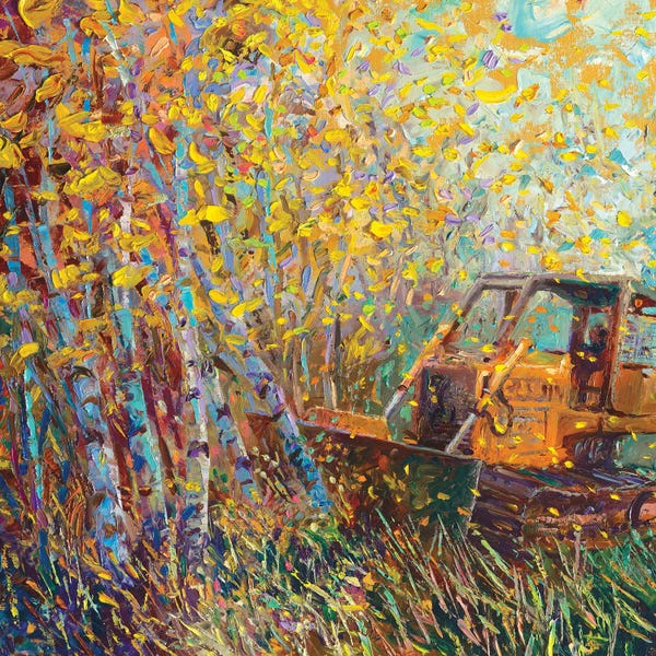 Aspen Trees: King Of Chama by Iris Scott