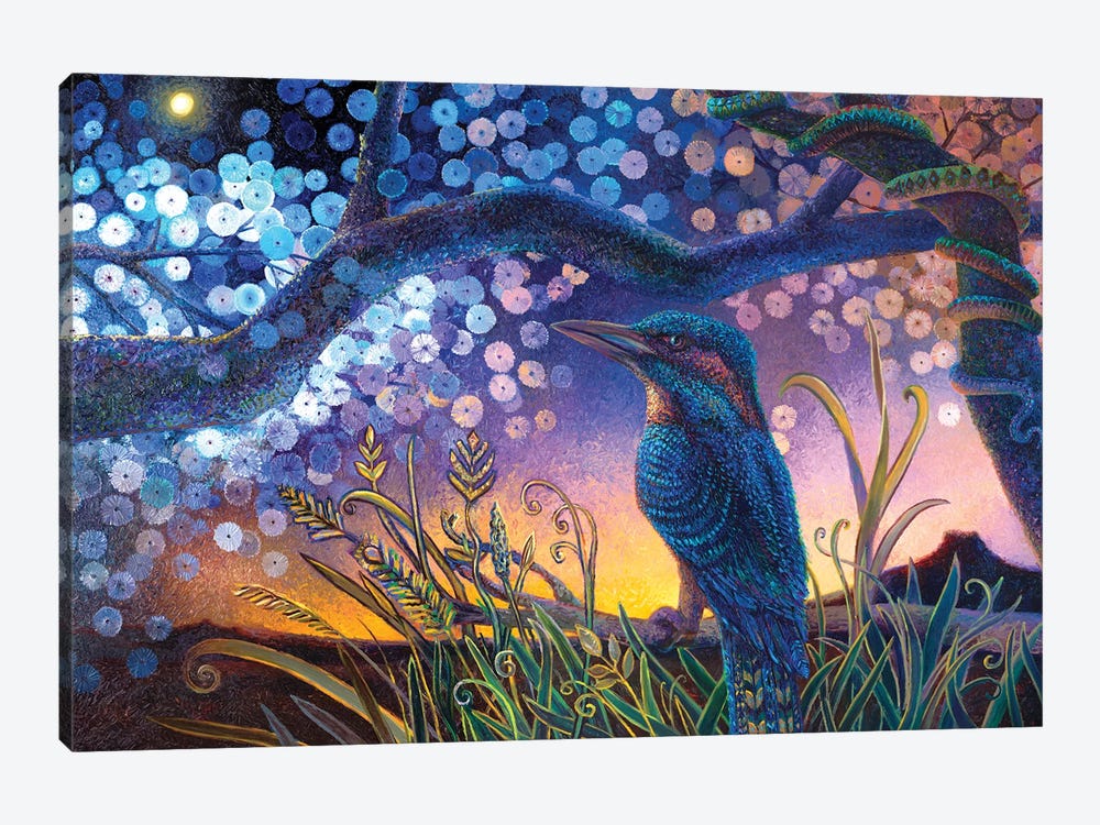 Kookabura Nightndayle by Iris Scott 1-piece Canvas Wall Art