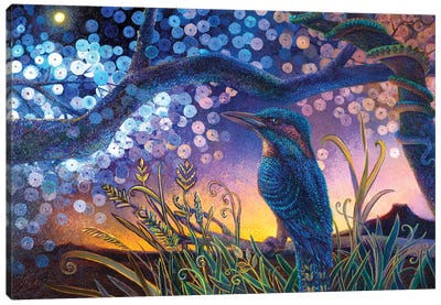 Kookabura Nightndayle Canvas Art Print - Kingfisher Art
