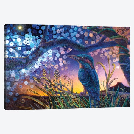 Kookabura Nightndayle Canvas Print #IRS351} by Iris Scott Canvas Artwork