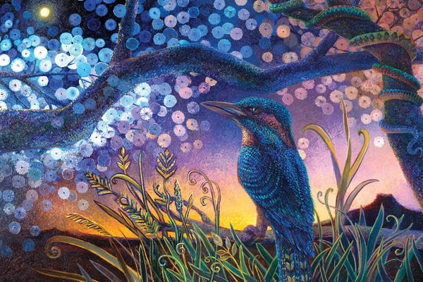 Animal Lover: Kookabura Nightndayle by Iris Scott