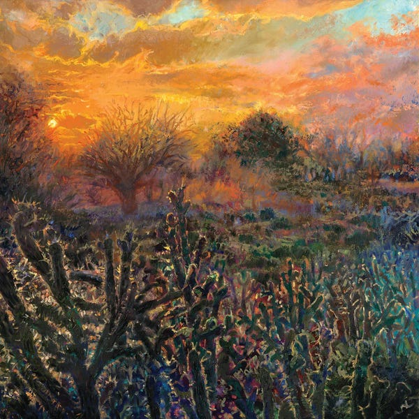 Desert: Luminaire by Iris Scott