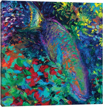 Marine Macaw Canvas Art Print - Iris Scott