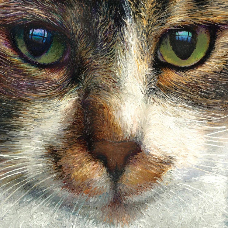 Mykos by Iris Scott wall art