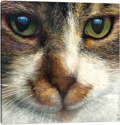Mykos Canvas Art Print - Calico Cat Art