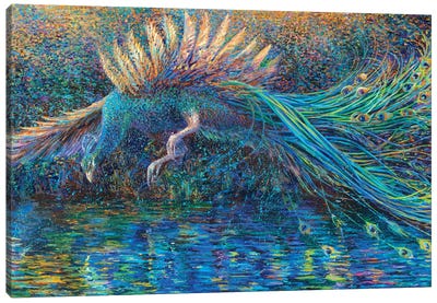 Narcissus Canvas Art Print - Peacock Art