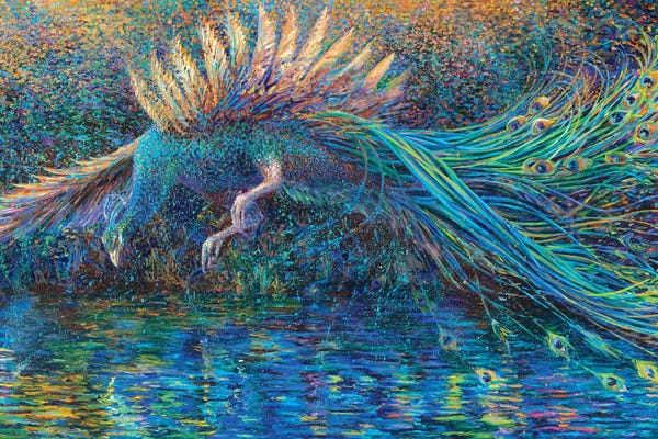 Peacocks: Narcissus by Iris Scott