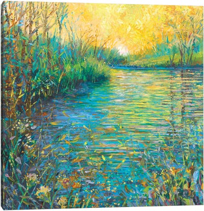 Northern Lights Canvas Art Print - Artists Like Monet