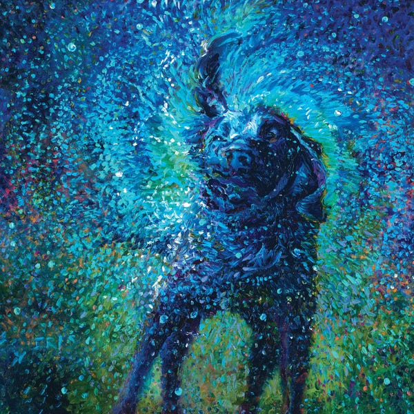 Dogs: River by Iris Scott