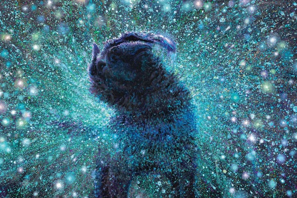 Pet Obsessed: Spooky Action At A Distance by Iris Scott